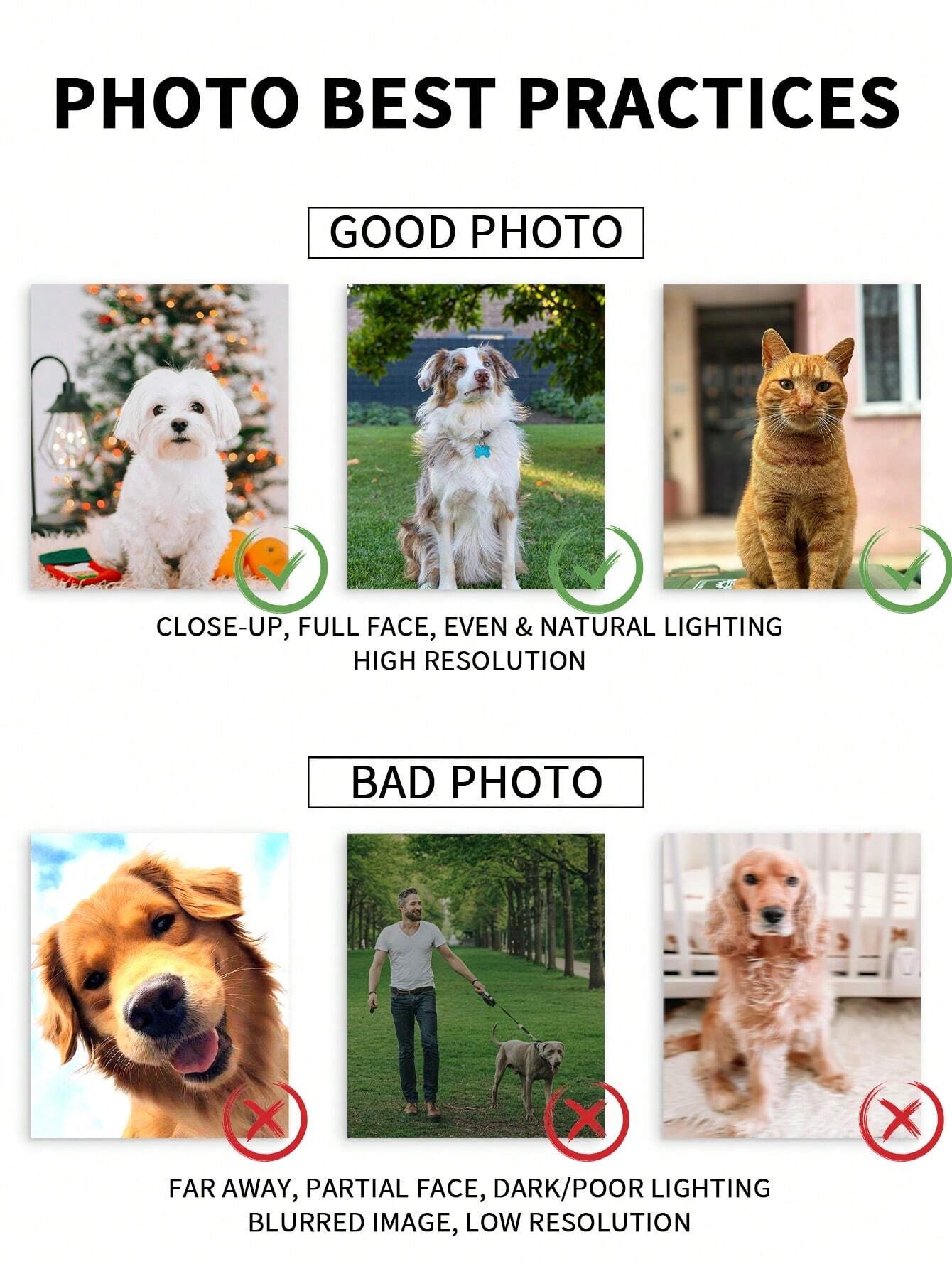 Customized Watercolor Pet Port - Pet Portrait Custom review and price